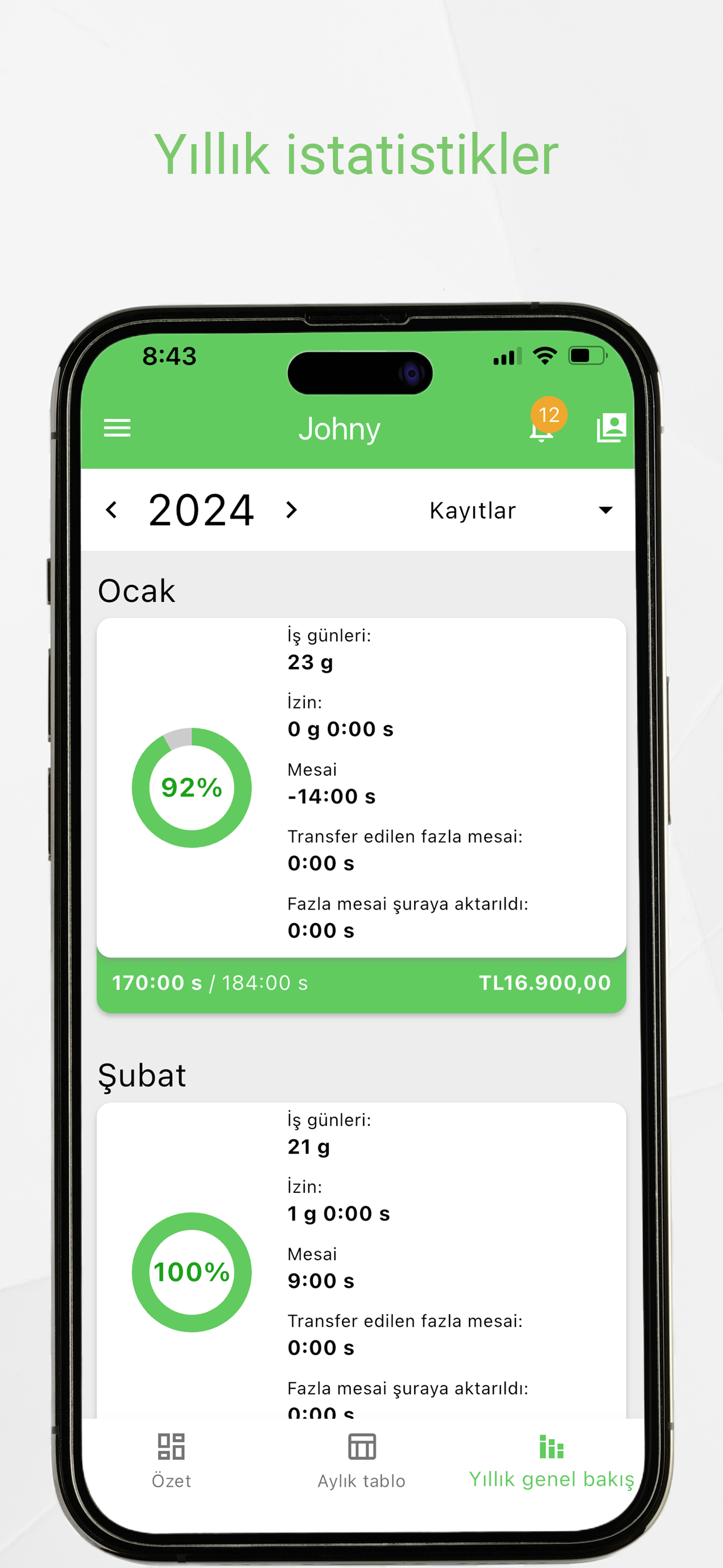 Working Timer year statistics